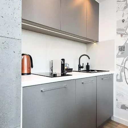 Kairos - Spodek - 100 M Od Spodka Apartment