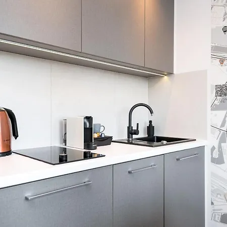 Apartment Kairos - Spodek - 100 M Od Spodka