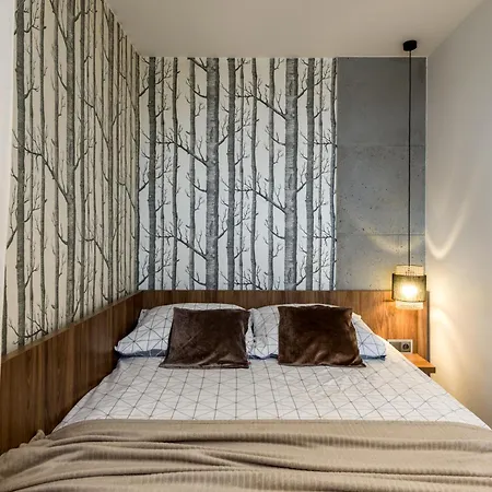 Apartment Kairos - Spodek - 100 M Od Spodka Katowice